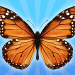 MergeButerfly: 2048!