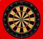 Darts Pro