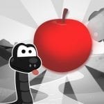 Black and white snake