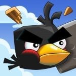 Crazy Birds